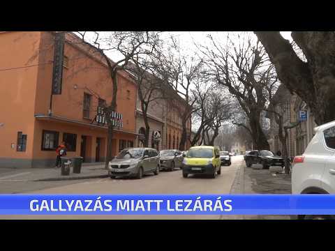 CTV híradó - Rövid híreink - 2026. február 17. kedd