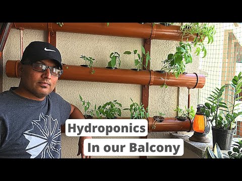 , title : 'Hydroponics in apartment balcony | Vertical Gardening at home using PVC pipe| NFT system'