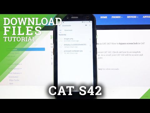 How to Access all Downloads in Cat S42 - Find Downloaded Files