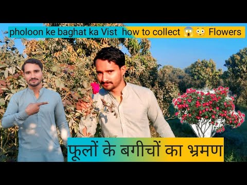 phalon ke baghat ka Vist how Collected flowers 🌹 😳😱 & mango 🥭 is ready