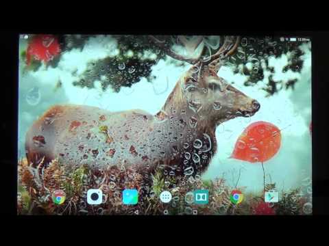 Cute Autumn Live Wallpaper Video