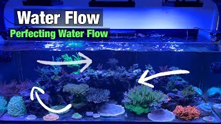 How to Perfect Water Flow in a Saltwater Aquarium