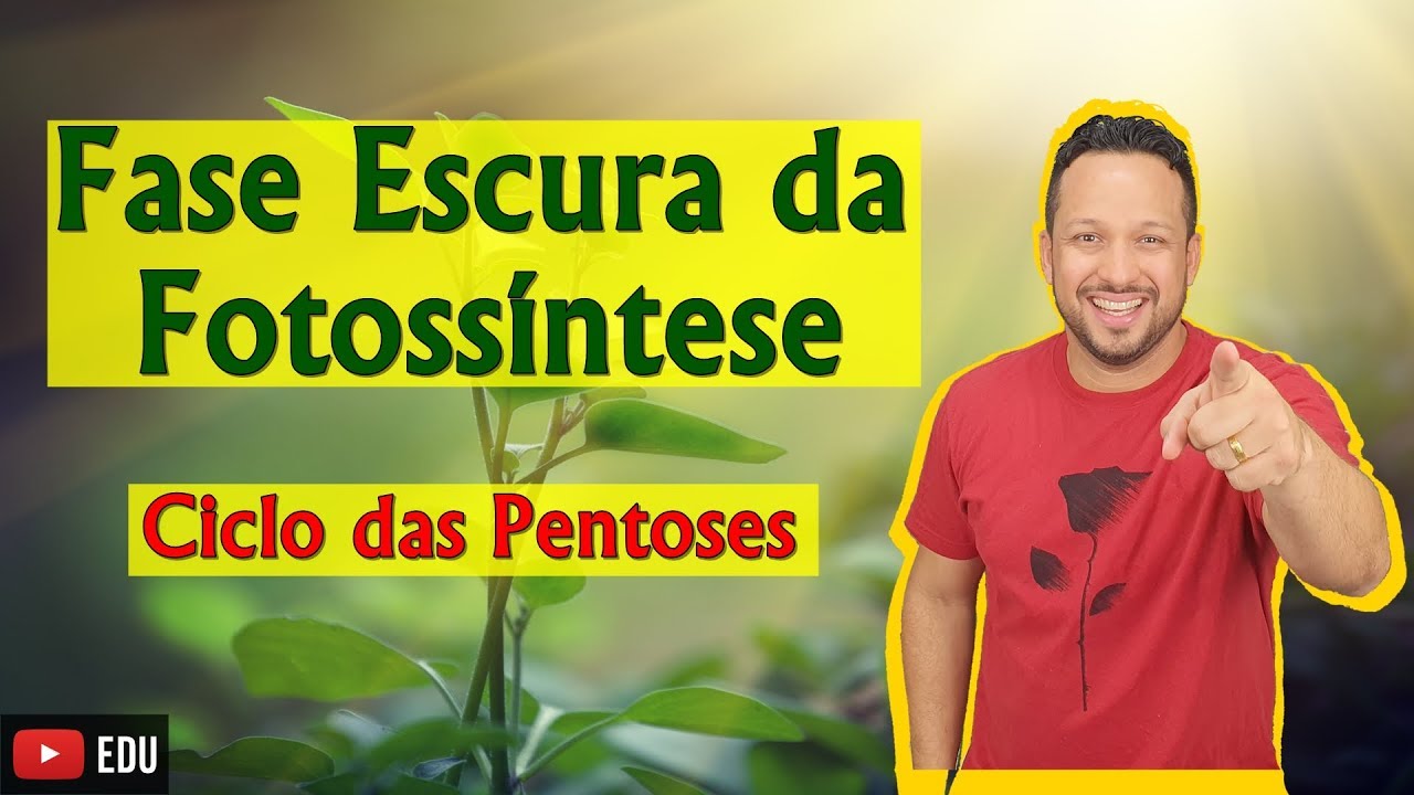 Fase Escura ou Química da Fotossíntese - Ciclo das Pentoses ou Ciclo de Calvin