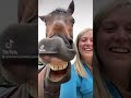 this a horse laughing