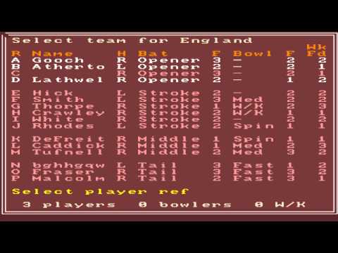 International One Day Cricket picture