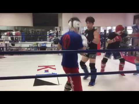 平本蓮のスパーリング