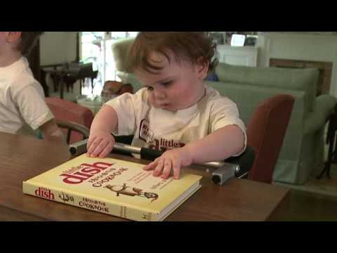 Little Dish Favourites Cookbook