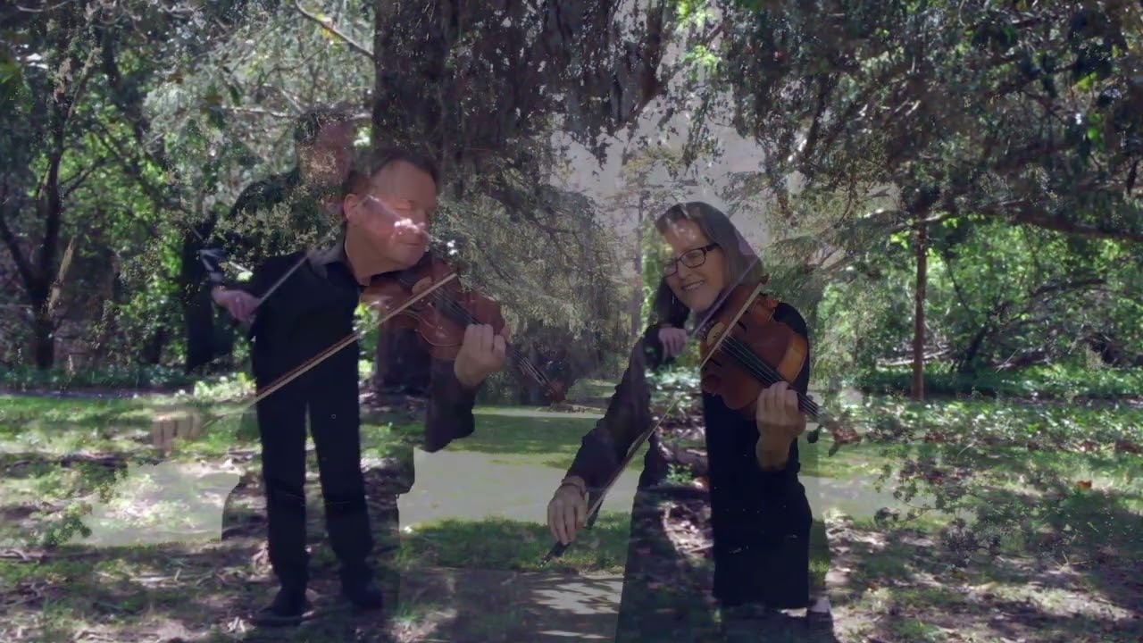 Promotional video thumbnail 3 for Katrina Wreede Musical Groups