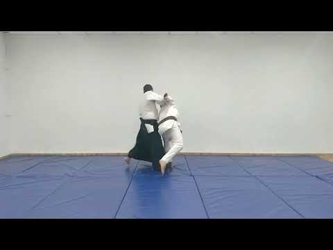 Aikido Basic Techniques: Tsuki - Irimi nage