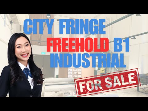 Gemini @ Sims, 2 Sims Close, 3,186 sqft, Light Industrial (B1) For Sale, by Vit Olivia Ng, 60084341 - CommercialGuru.com.sg