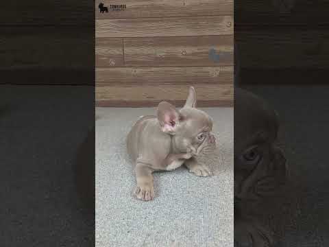 Video 2