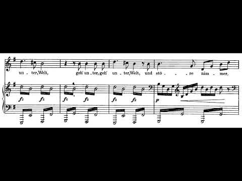 Franz Schubert - D.807 Auflösung (1824) [Score video]