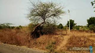 preview picture of video 'Trip to sunasgaon road || beauty of village'