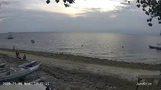 Junedive Front Beach, Moalboal, Cebu 모알보알 바다상황 실시간영상 live webcam