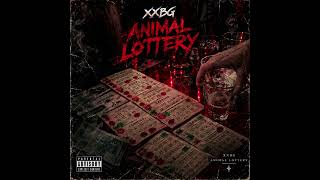 Xxbg - Animal Lottery