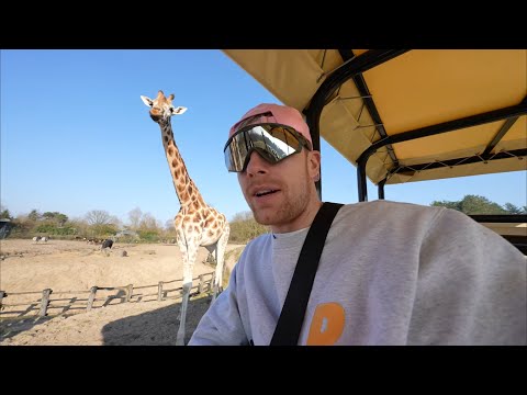 SAFARI TOUR IN NEDERLAND!! #4223 #4224
