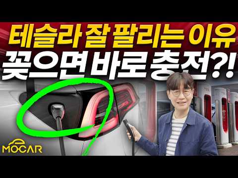 테슬라가 1등인 대한민국...이유가 무엇일까