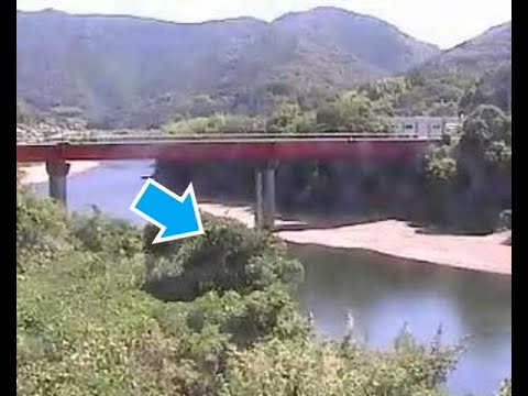 平川監視 日高川のライブカメラ映像