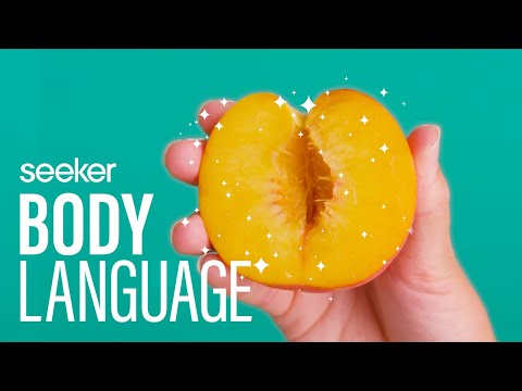 揭示陰道的神奇微生物世界 (Uncovering the Magical Microbial World of the Vagina)