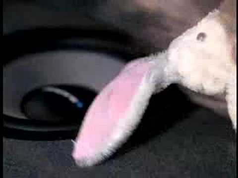 Bloodhound gang - Hefty fine