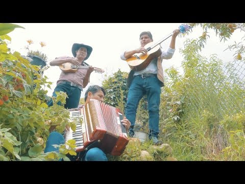 JIMENA LA POJEÑITA pojo llajjtaymanta CARNAVAL 2019
