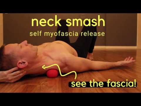 Fascia, Levator Scapula, Neck & Shoulder Smash: Self Myofascia Release
