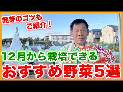 温室で育てるのに最適な野菜5選 トピックス