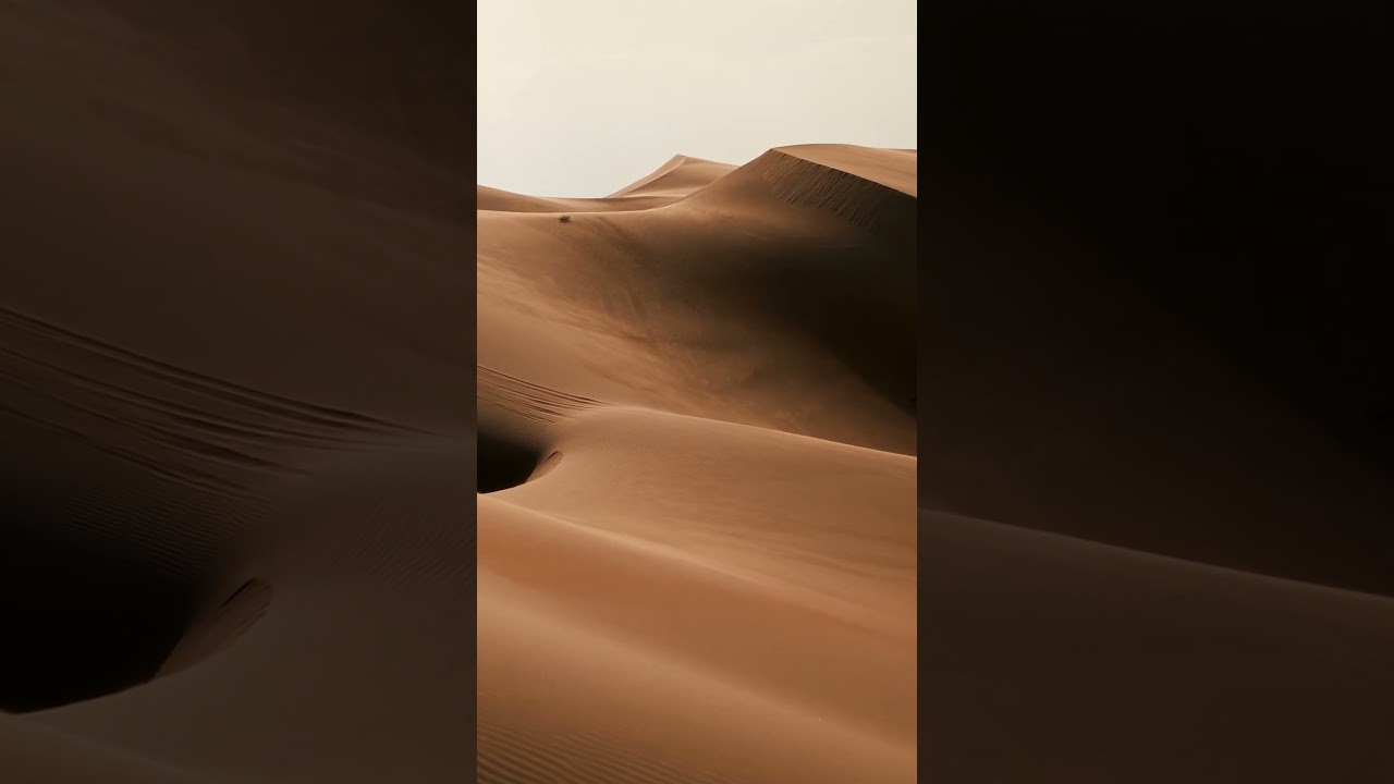 The Beauty of Desert Landscapes