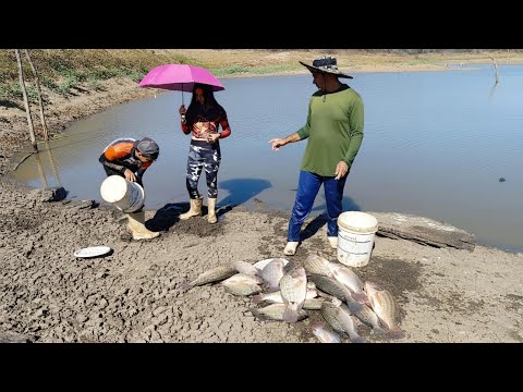 FIZERAM UM GRANDE ABATE DE PEIXES PESCANDO NESSE AÇUDE A PRIMEIRA VEZ 