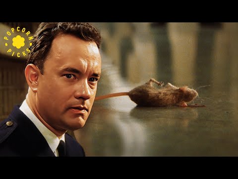 John Coffey Resurrects Rat (Mr. Jingles) | The Green Mile