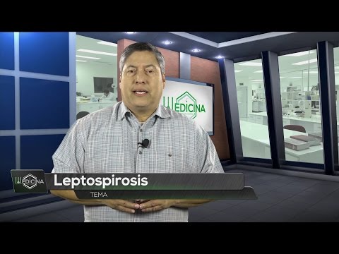 , title : 'Medicina para todos: Leptospirosis'