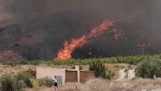 Waldbrände in Spanien: Mehrheit der Todesopfer wohl Ausländer