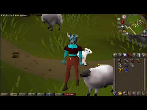 OSRS All Slayer Helm [Female]