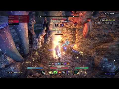 Magicka Warden 42.8k dps no bear (thief mundus & raid cp)