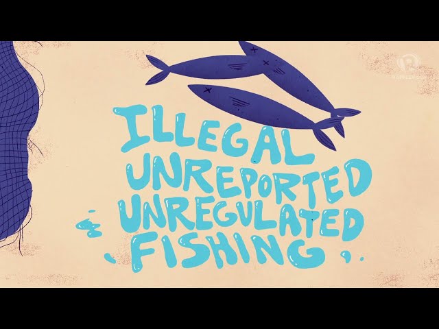 [WATCH] IN NUMBERS: Illegal, unreported, and unregulated fishing in the Philippines