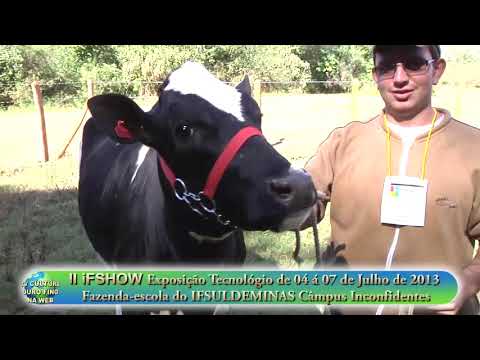 OURO FINO BOLETIM DA SEMANA 108 - 15 DE JULHO DE 2013