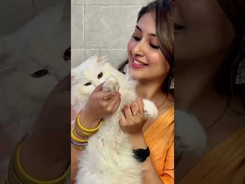 #anchal sahu with her cute cat 💝💝💐💐❤️❤️