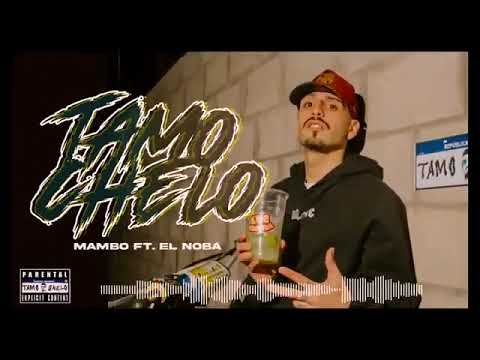 y2mate com   TAMO CHELO  Remix  MAMBO DJ FT EL NOBA no bajo ni con pasta 360p
