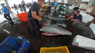 Re: [新聞] 地上殺魚｢東港日常｣?YouTuber拍黑鮪魚