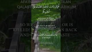 Download lagu Surah Al-Imran ayat 144 shiekh muhammad jibraieel mp3 Download lagu Surah Al-Imran ayat 144 shiekh muhammad jibraieel mp3