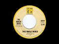 The Beach Boys - This Whole World (2022 Remaster)
