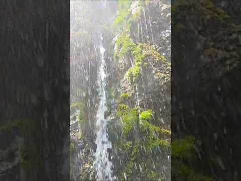 Short increíble Lugar en san Luis Aguada del Bosque Los Molles