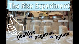 Rice Experiment / How words can affect us!