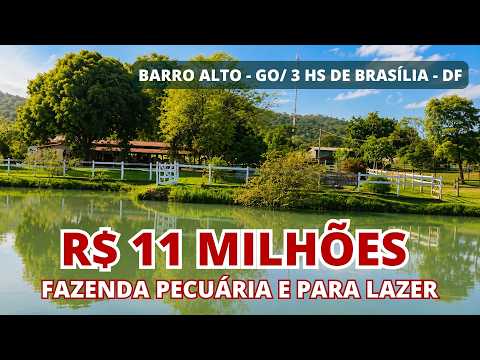FAZENDA PECUÁRIA COM 368 HA EM BARRO ALTO-GO! POSSUI REGO D’ÁGUA DENTRO DA SEDE, LAGOS E REPRESAS