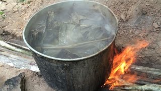 How To Make Ayahuasca Tea - Ayahuasca Recipe