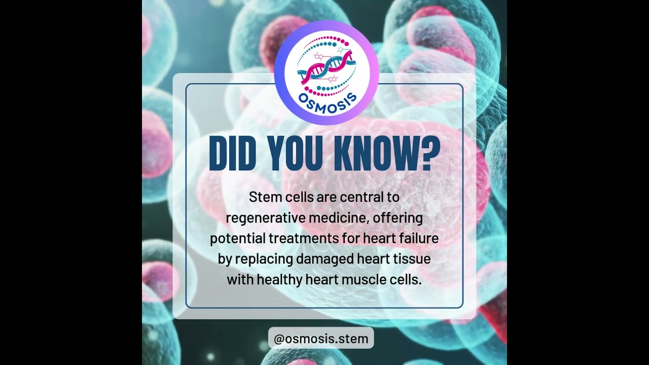 Did You Know? Stem Cells Can Heal Hearts 💓