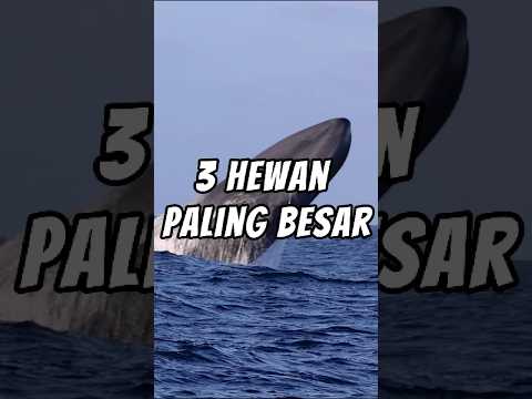 3 HEWAN PALING BESAR DI DUNIA YANG BIKIN MERINDING ❗