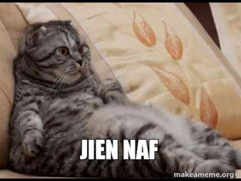 YouTube video about: What does a maltese cat look like?