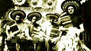 Millencolin - Penguins &amp; Polar Bears ( The Punk Rock Hillbilly )