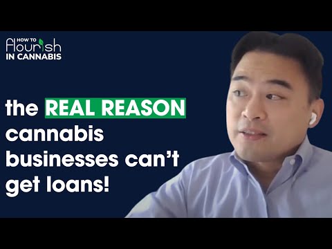 Green Money, Gray Laws: The Paradox of Cannabis Banking in 2024 with Peter Su